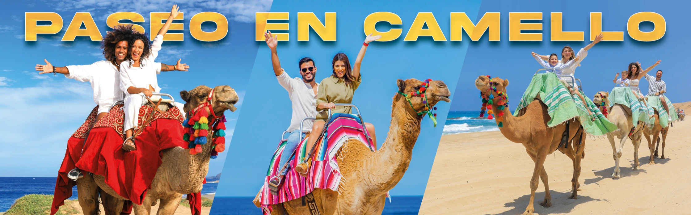 Banner paseo en camello