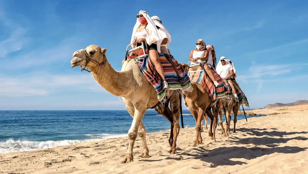 Grupo de personas montando camellos en la playa de Los Cabos junto al mar