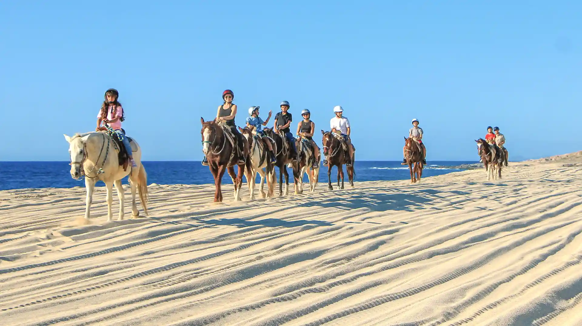 Grupo de jinetes disfrutando un paseo a caballo por la playa en un tour guiado frente al mar.